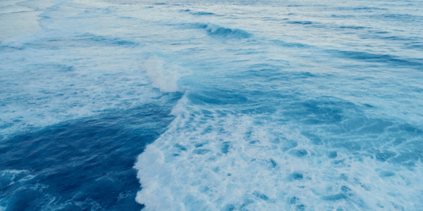 Close view of a surf location on Nalu